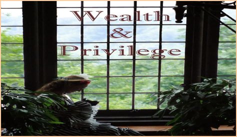 A Journey Of Wealth, Privilege, And Legacy